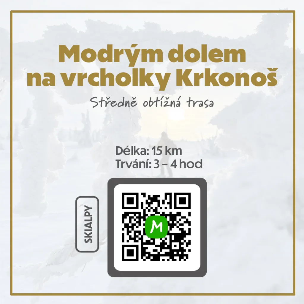 Modry dul
