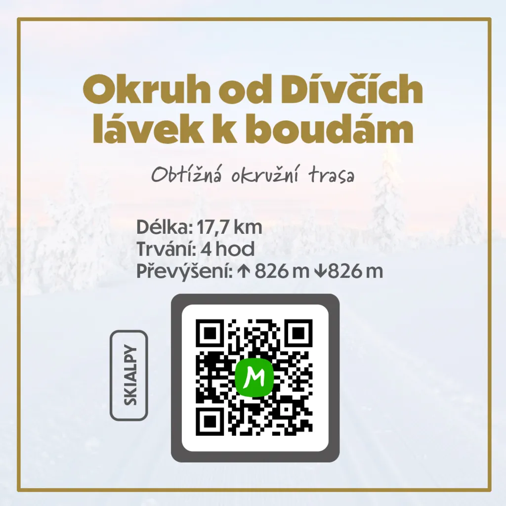 Divci lavky