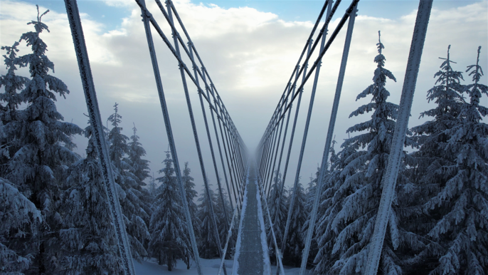 sky-bridge721-3-resampled_retina.1200x1200.shrink_only.q85